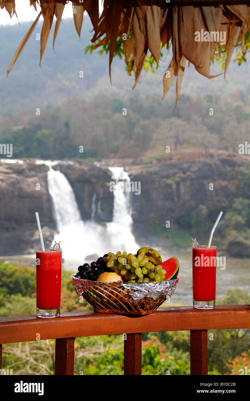 View of the waterfall in the nature reserve, drinks on the railing, tree house hotel, Rain Forest Hotel, Kallana, , India, Asia Stock Photo