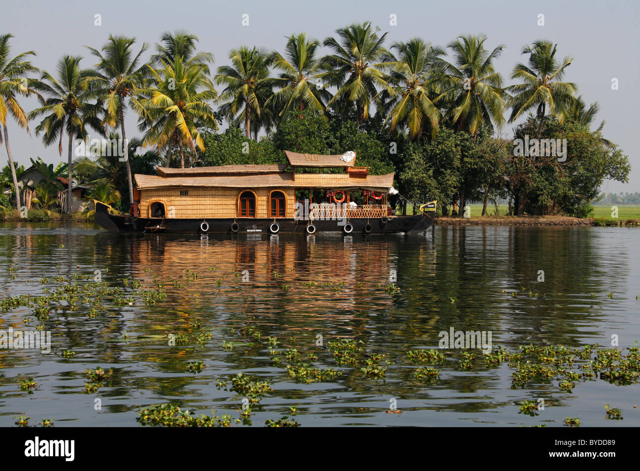 Luxury houseboat on a canal in front of palm trees, Haripad, Alappuzha, Alleppey, Kerala, India, Asia Stock Photo