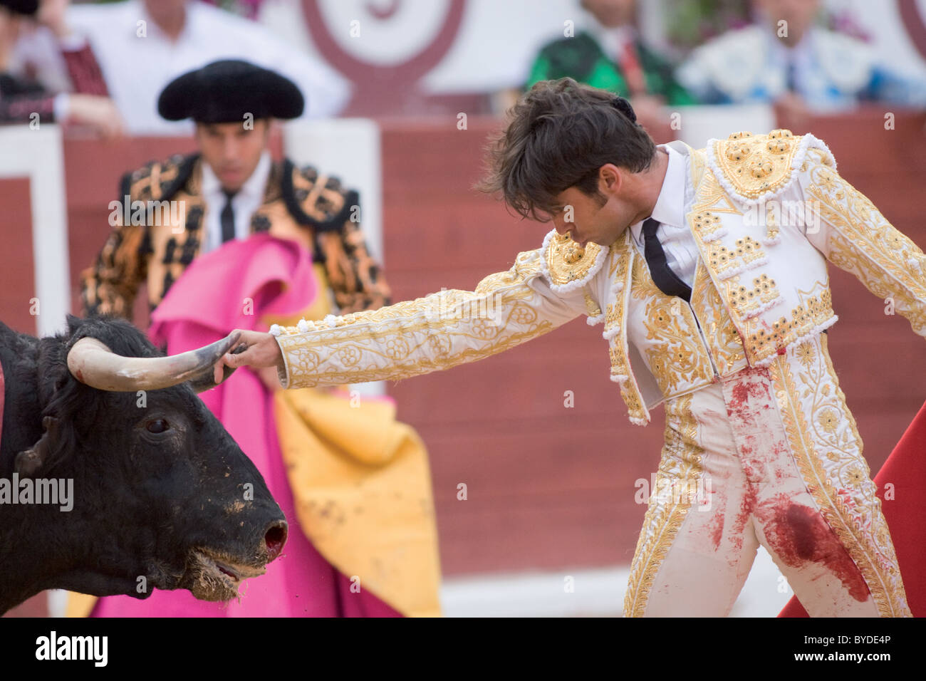 Bullfight.Gijón, Asturias, Spain, in the bullring. Bullfighting fair in honor of the Virgin Our Lady of Begoña Stock Photo