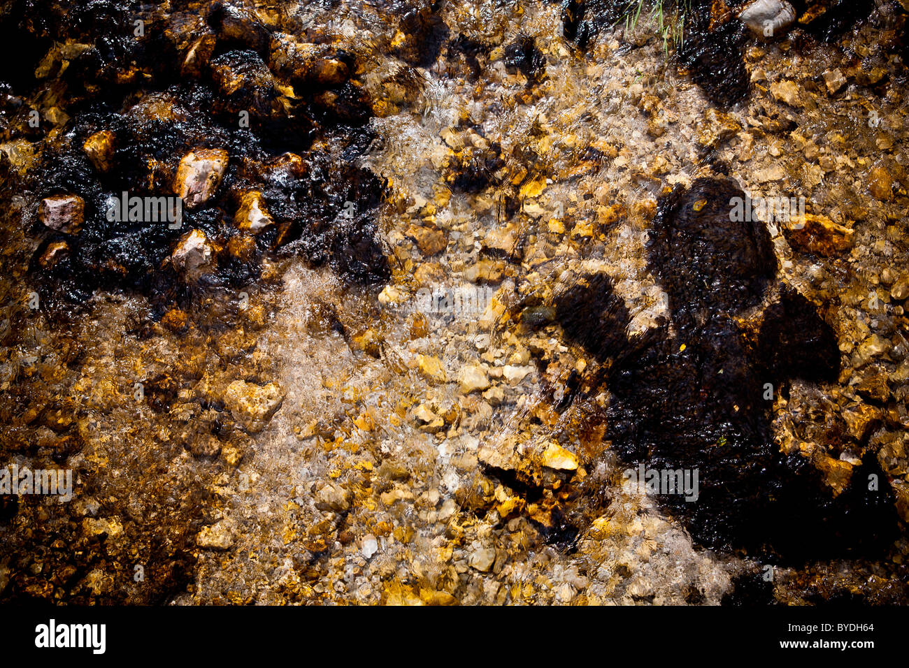 Abstract texture of a river bed Stock Photo