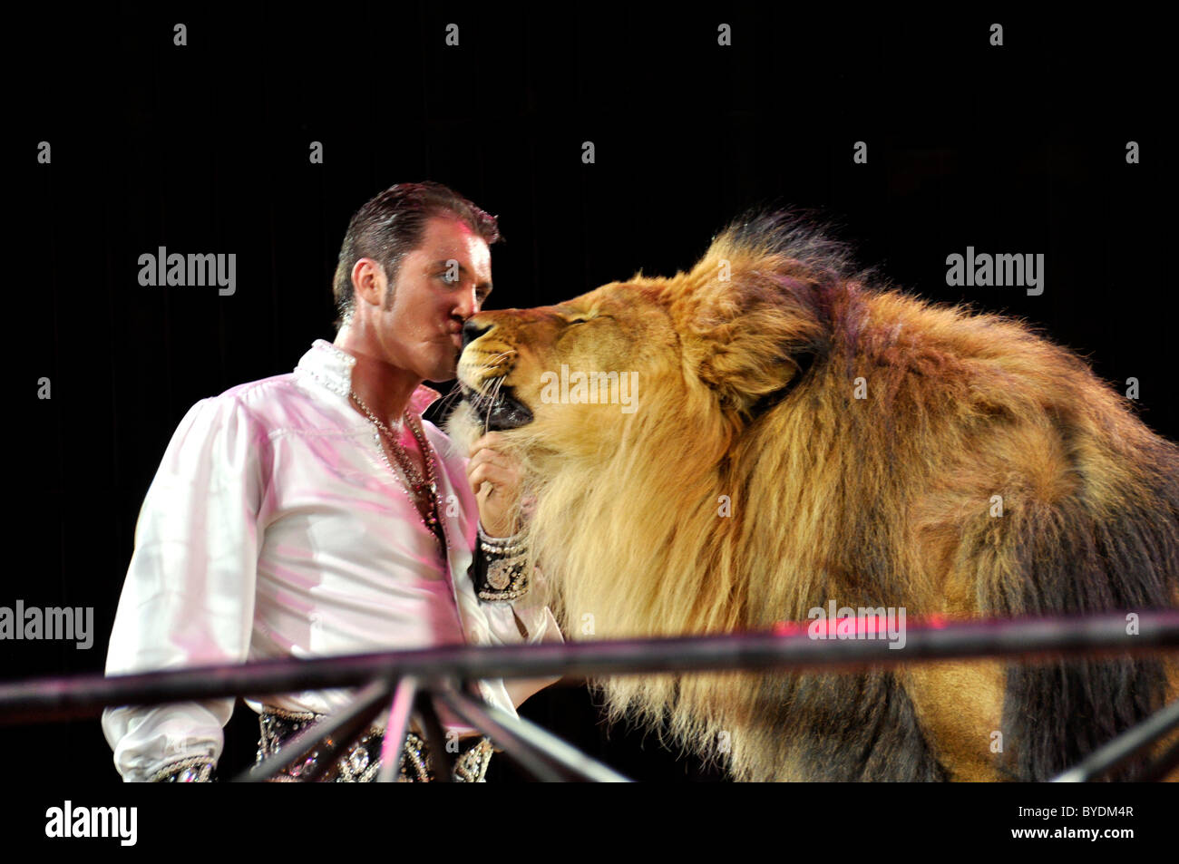 Lion-dressage, trainer Martin Lacey Jr. with the lion Kasanga, Circus Krone, Munich, Bavaria, Germany, Europe Stock Photo