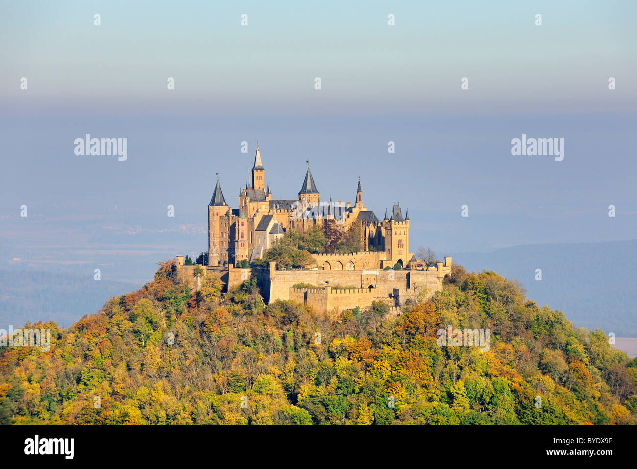 Single hechingen