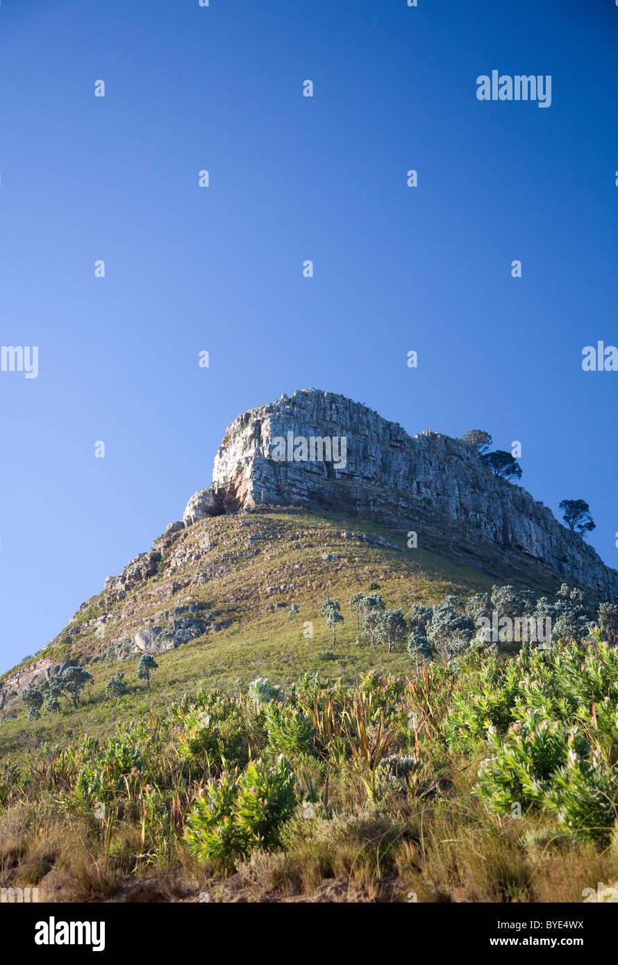 Lions Head mountain Peak Stock Photo Alamy