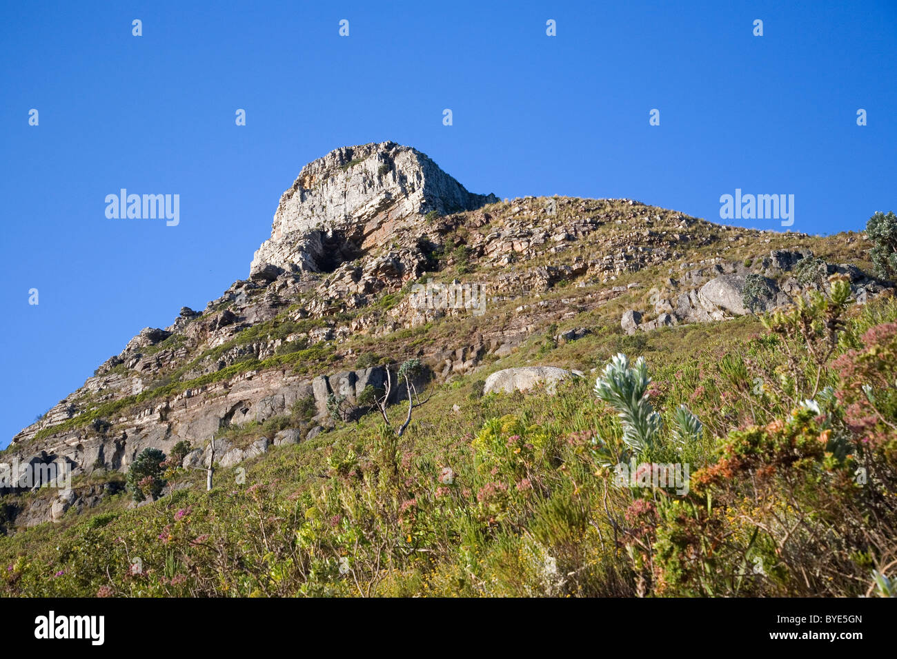 Lions Head mountain Peak Stock Photo Alamy