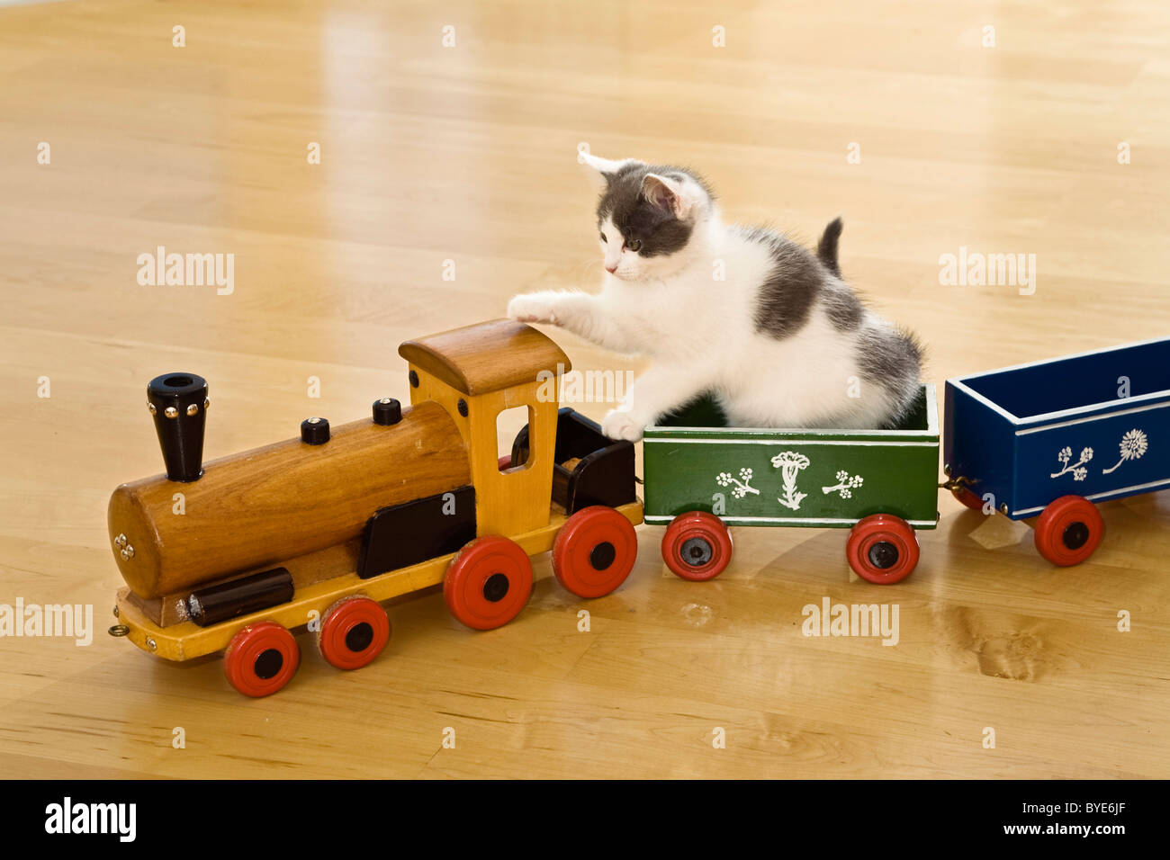 Kitten playing with wooden toy train Stock Photo Alamy