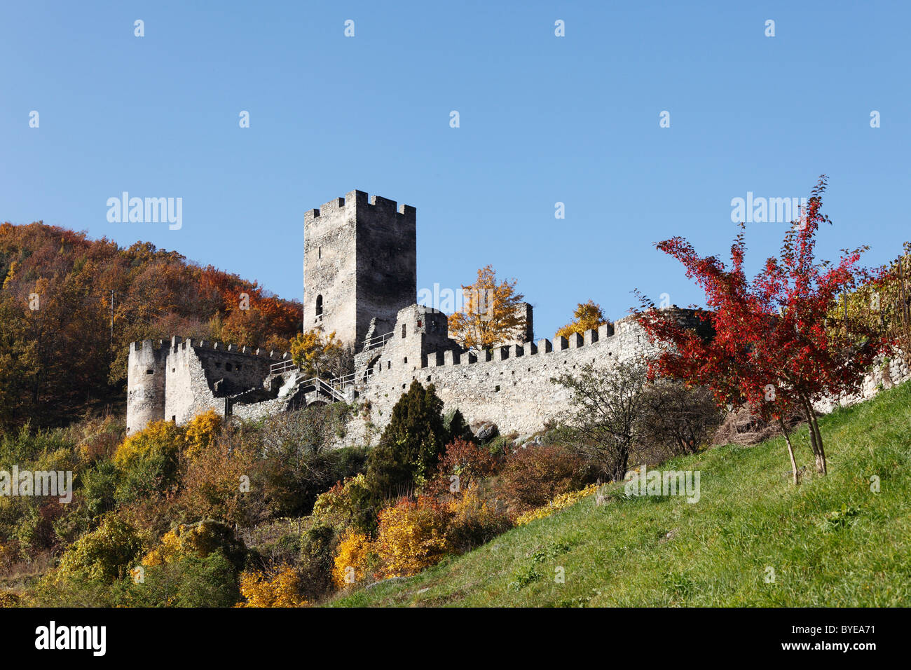 Hinterhaus castle ruin, Spitz, Wachau valley, Waldviertel region, Lower Austria, Austria, Europe Stock Photo