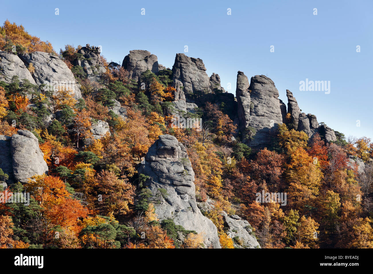 Rocks and woodland in autumn, located above Duernstein castle ruin, Wachau valley, Waldviertel region, Lower Austria, Austria Stock Photo