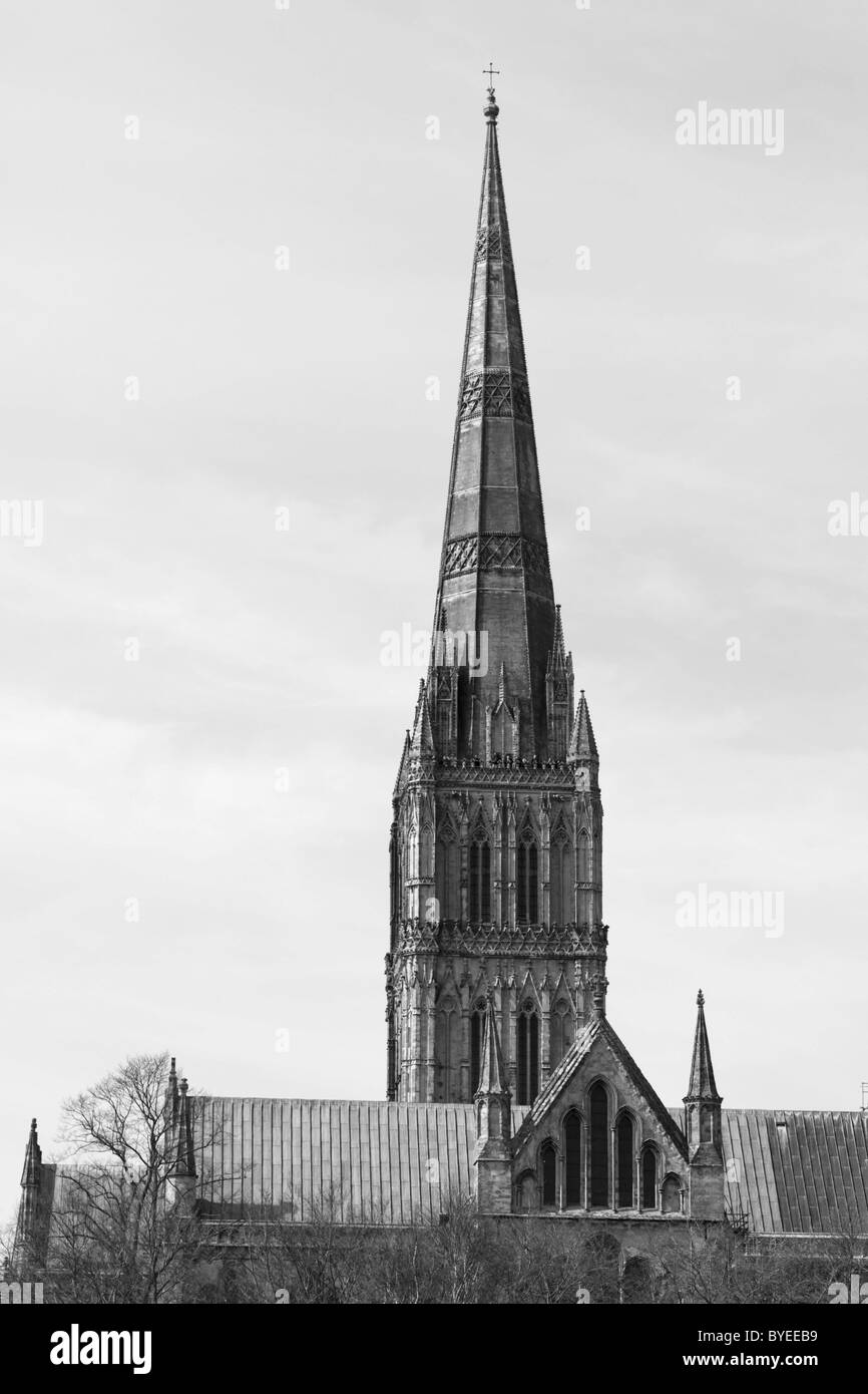 Salisbury Cathedral from Exeter Street, Salisbury, Wiltshire, England, United Kingdom, Europe Stock Photo