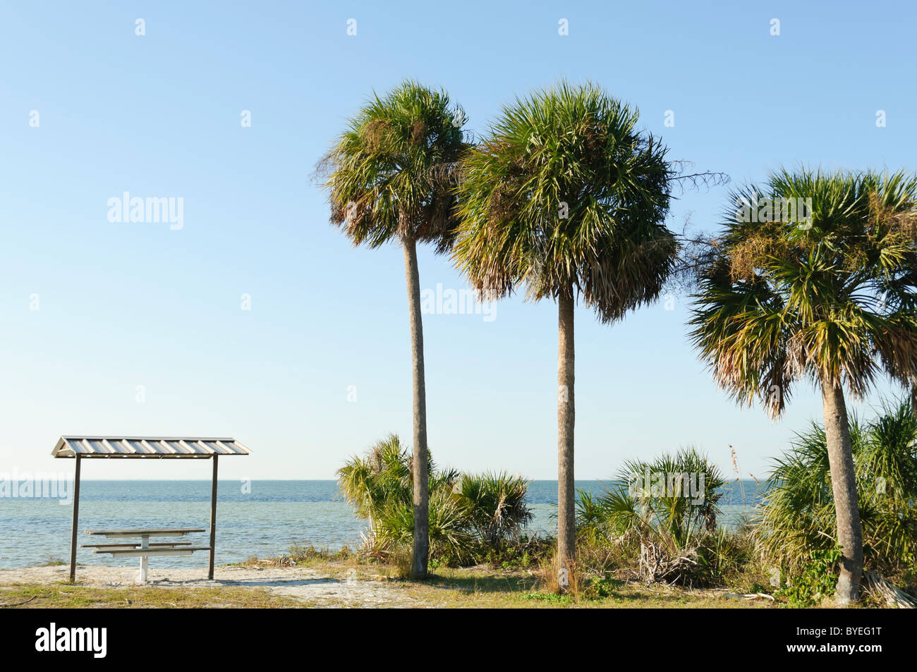E. G. Simmons State Park Ruskin Florida USA Stock Photo Alamy