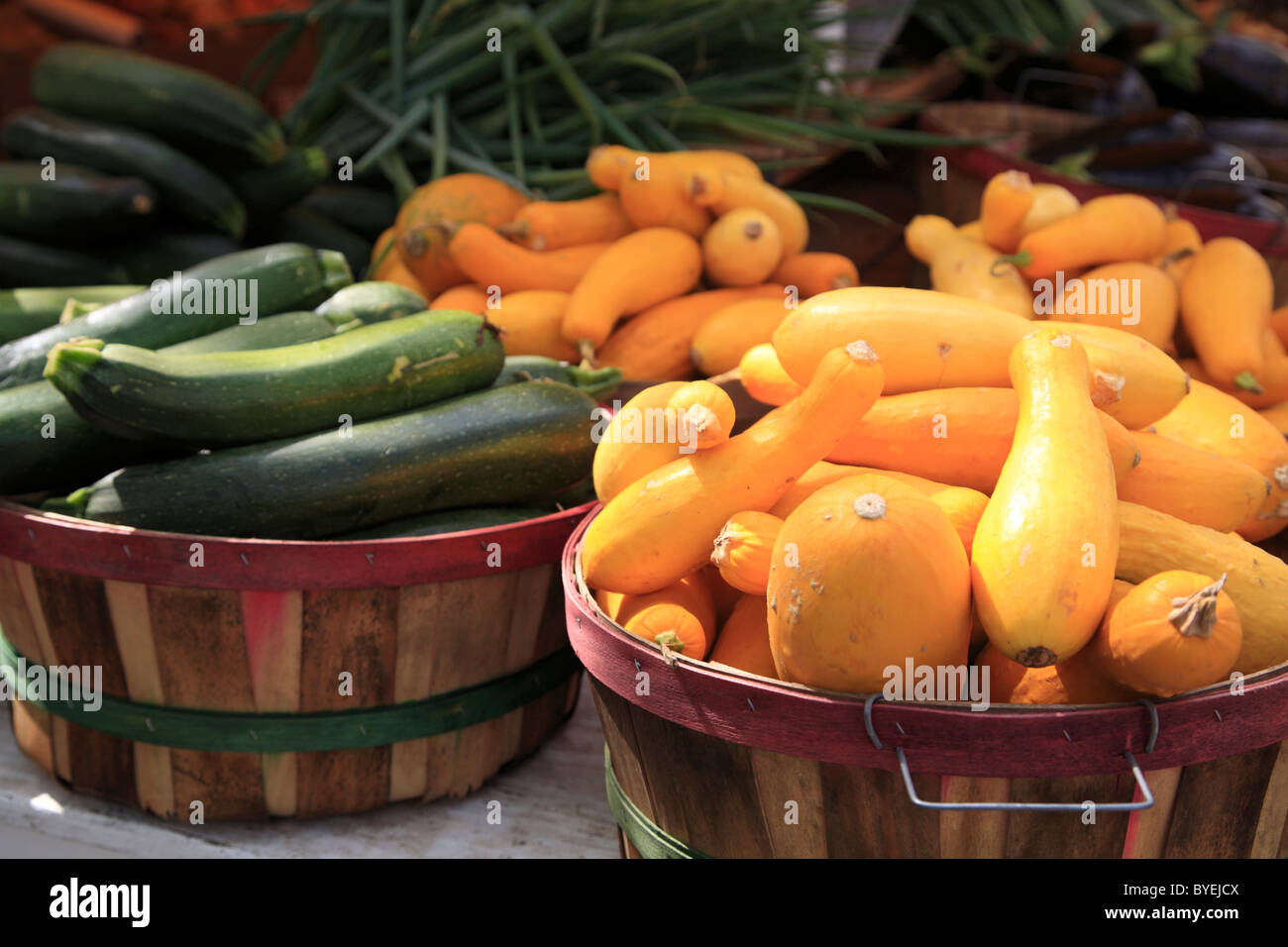 Long squash hires stock photography and images Alamy