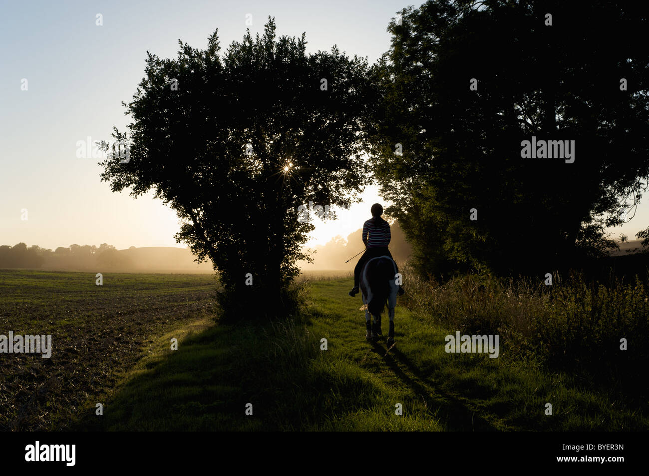 A lone horse rider in Little Alne, StratfordonAvon, Warwickshire