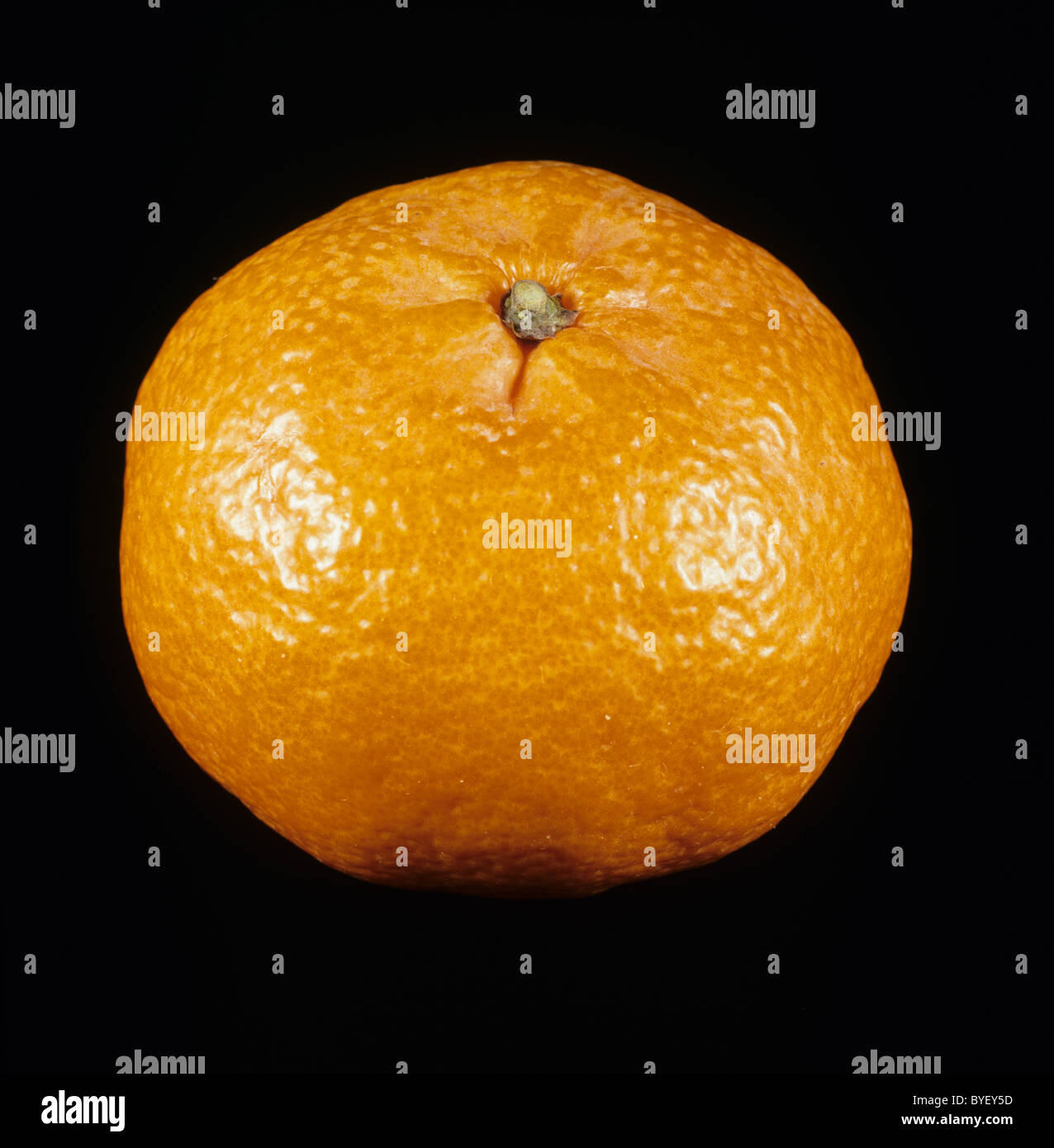 Whole mandarin fruit variety Fortune Stock Photo