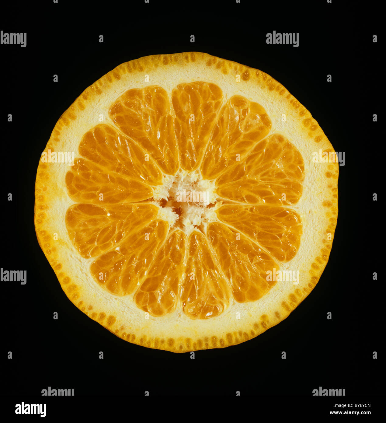 pixie mandarin