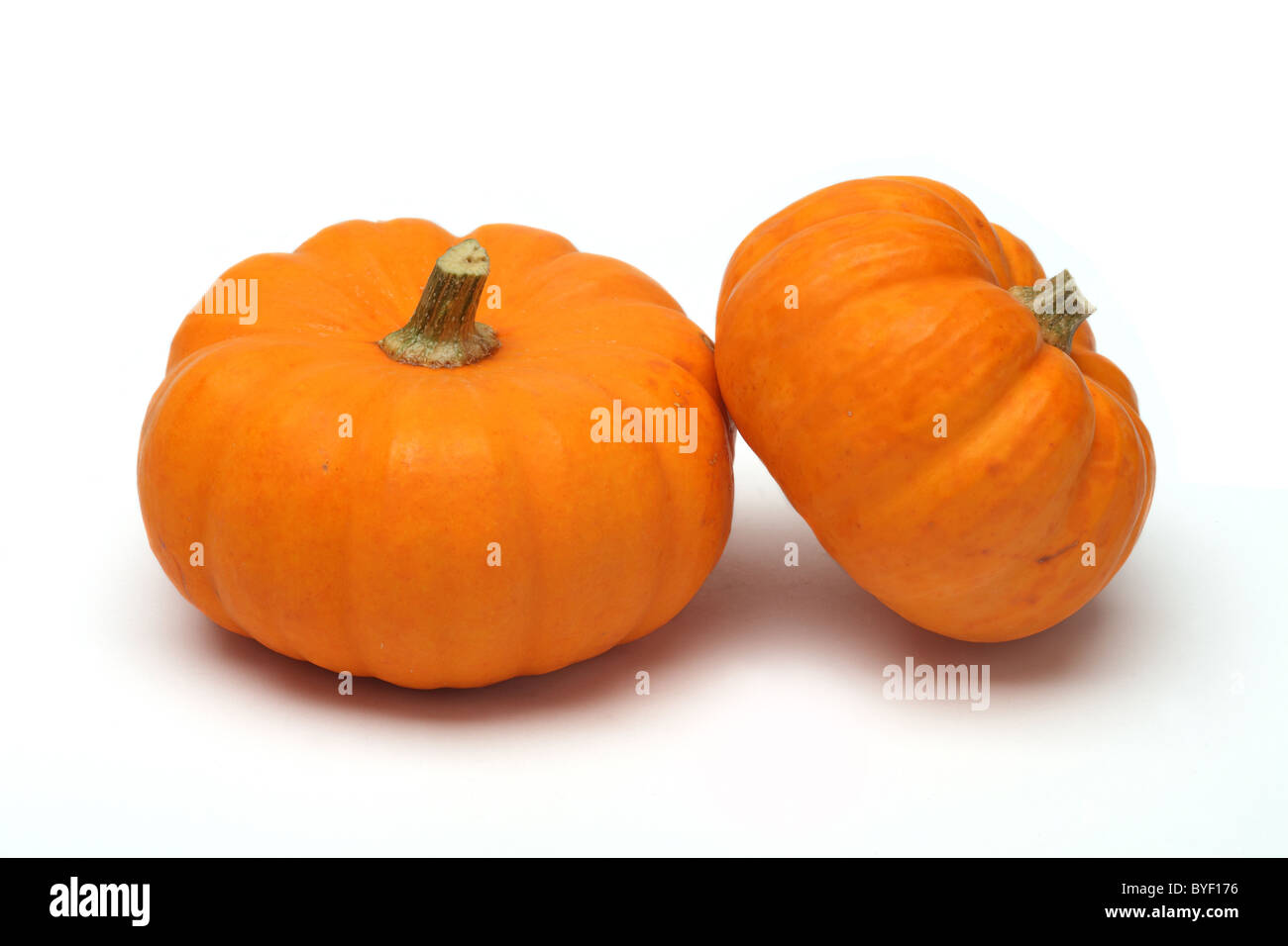 Whole decorative pumpkin squash Stock Photo Alamy