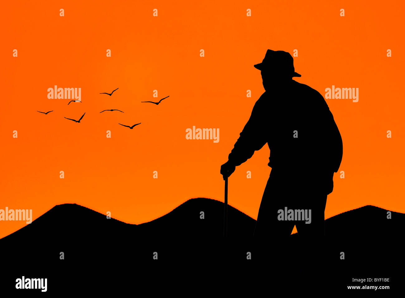 Old man walking at sunset with mountains and birds on background Stock Photo