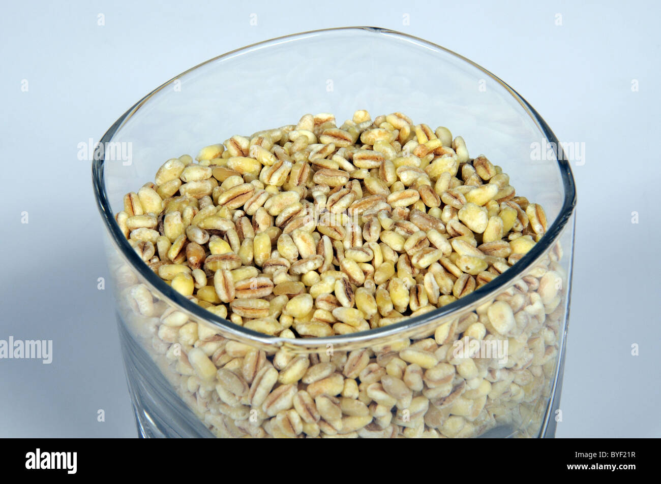 Whole grains of Durum wheat, Costa del Sol, Malaga Province, Andalucia, Spain, Western Europe. Stock Photo