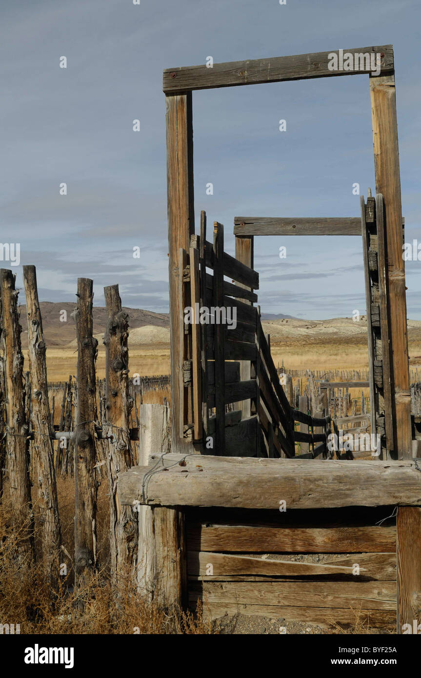 Austin, Nevada, Ranch, Abandoned Ranch, Ranching Stock Photo - Alamy