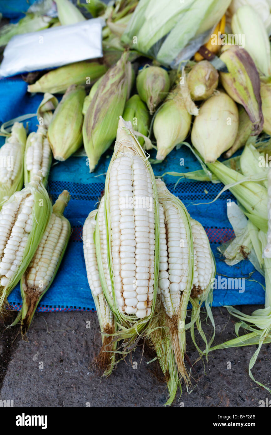 Large kernel corn or Choclo for sale in the market in the Peruvian city