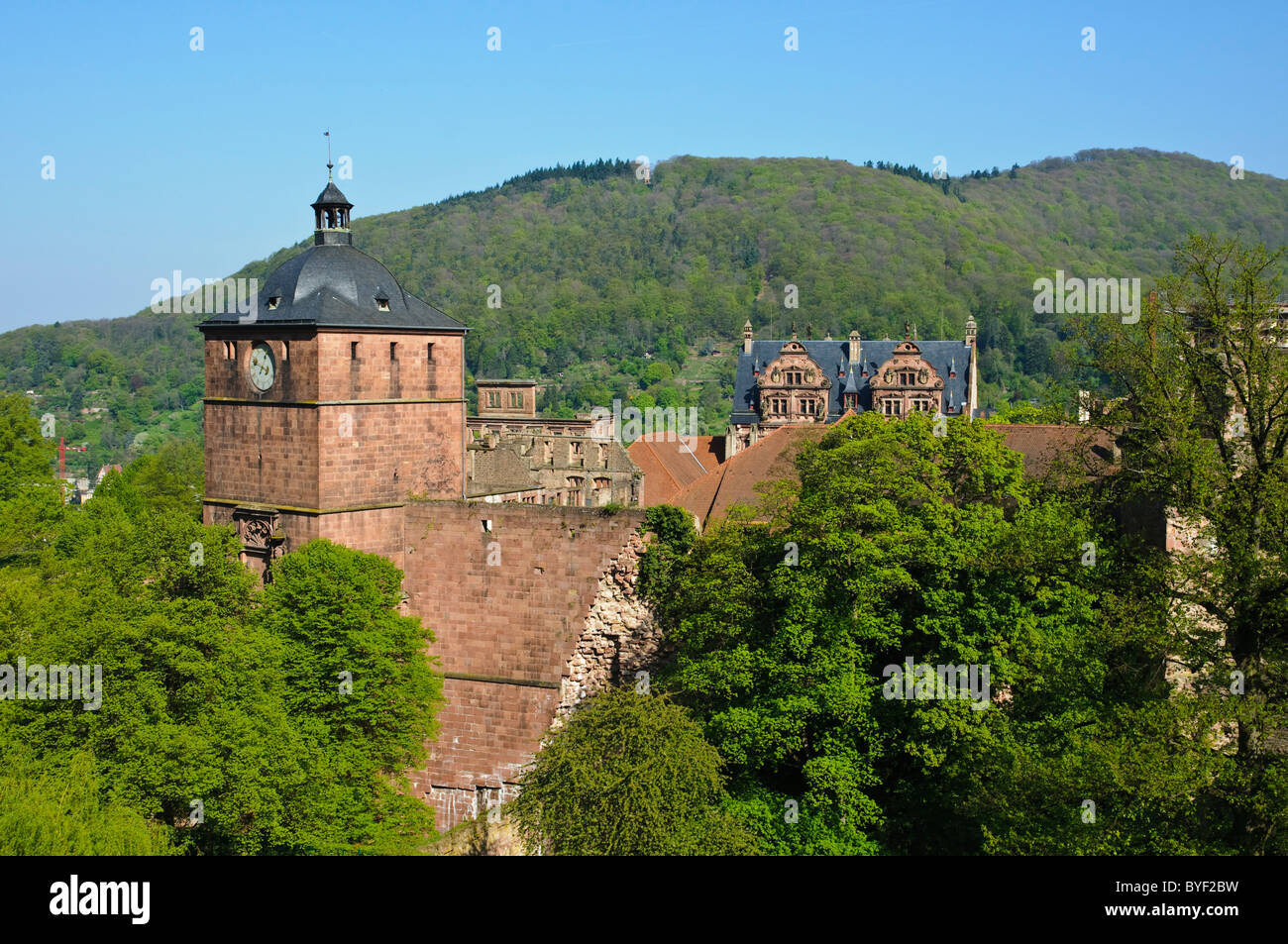 Heidelberg Stock Photo