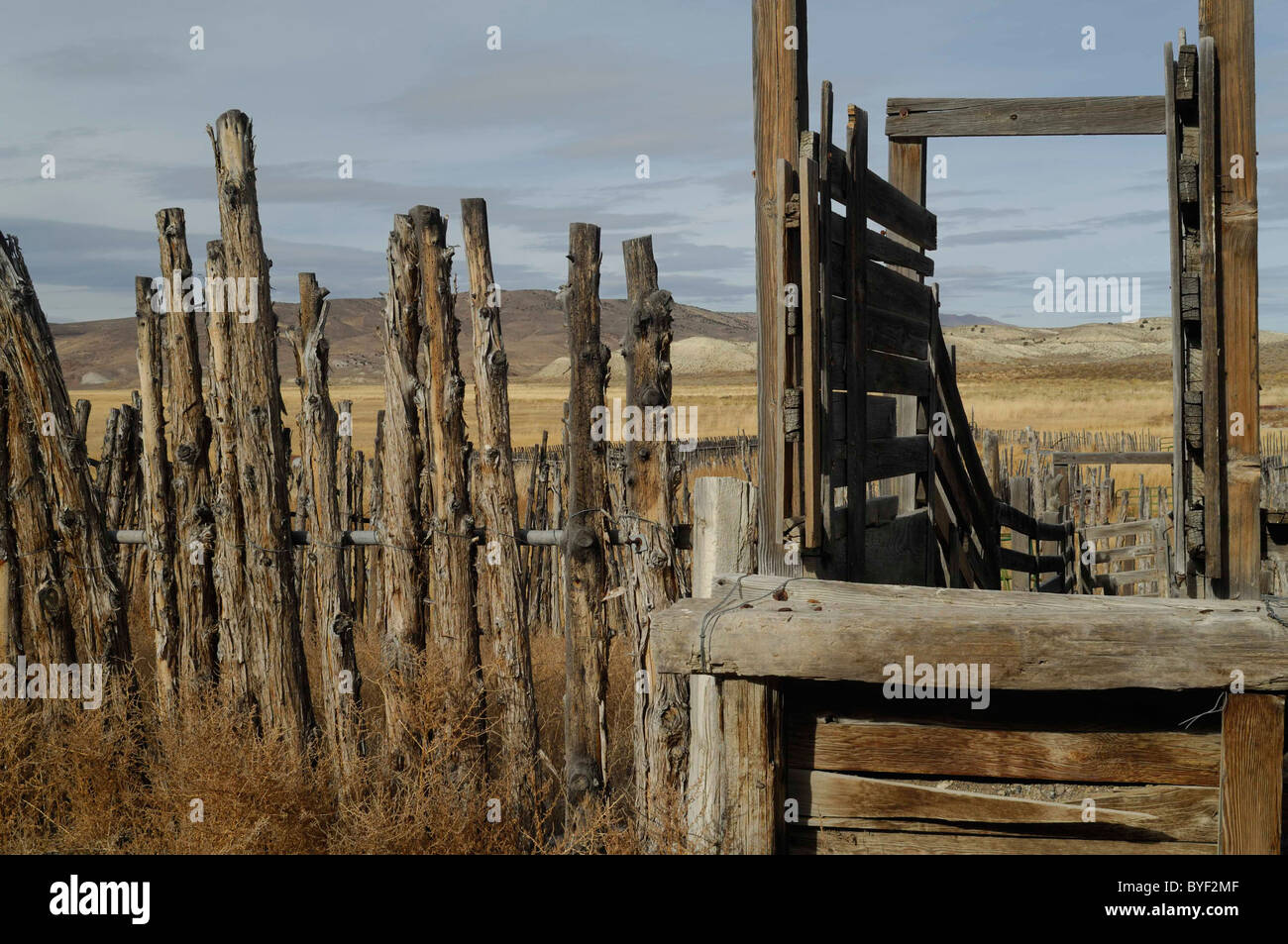 Austin, Nevada, Ranch, Abandoned Ranch, Ranching Stock Photo - Alamy
