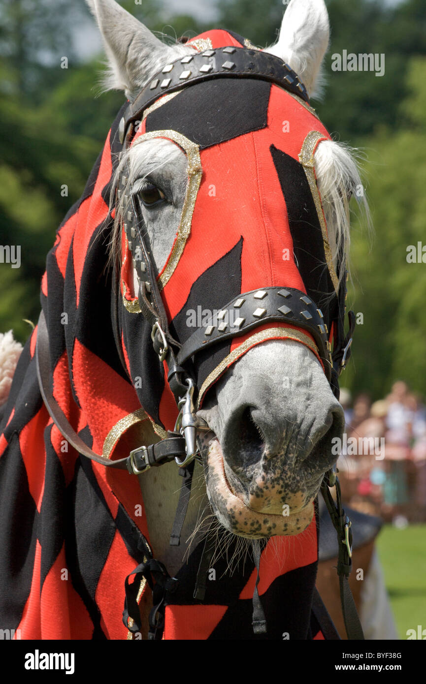 Horse Head Armour Stock Photos & Horse Head Armour Stock Images Alamy