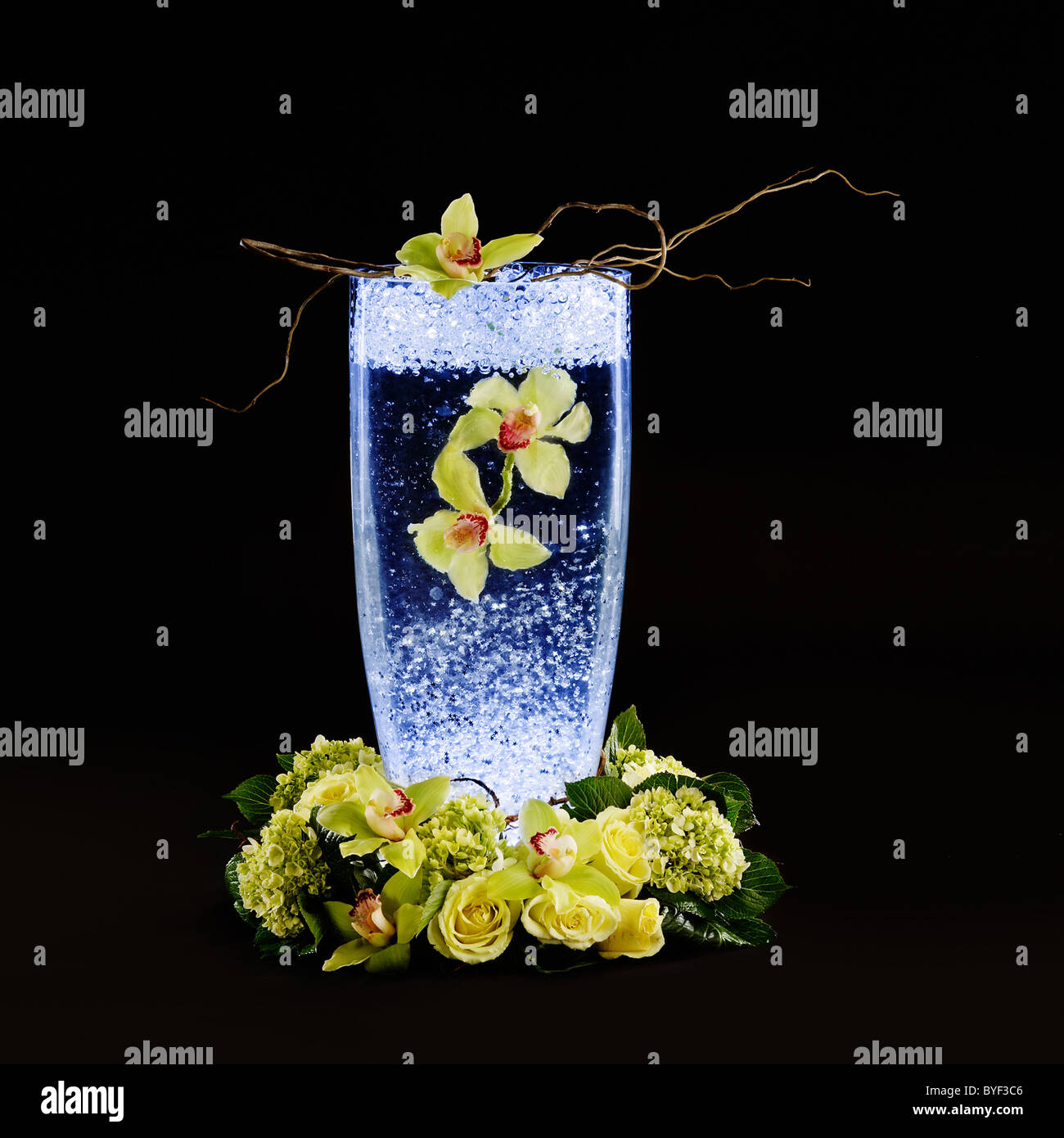 Orchid in blue vase hi-res stock photography and images - Alamy