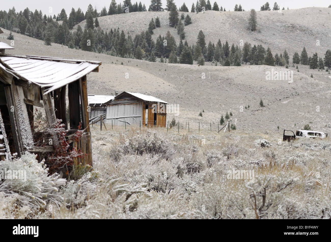 Gilmore, Idaho, Ghost Town, winter, snow, cabin Stock Photo Alamy