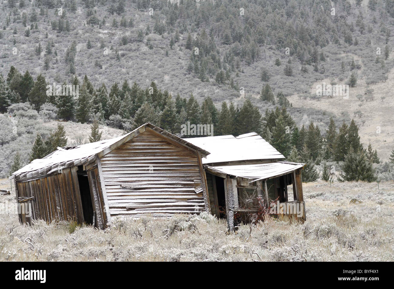 Gilmore, Idaho, Ghost Town, winter, snow, cabin Stock Photo Alamy