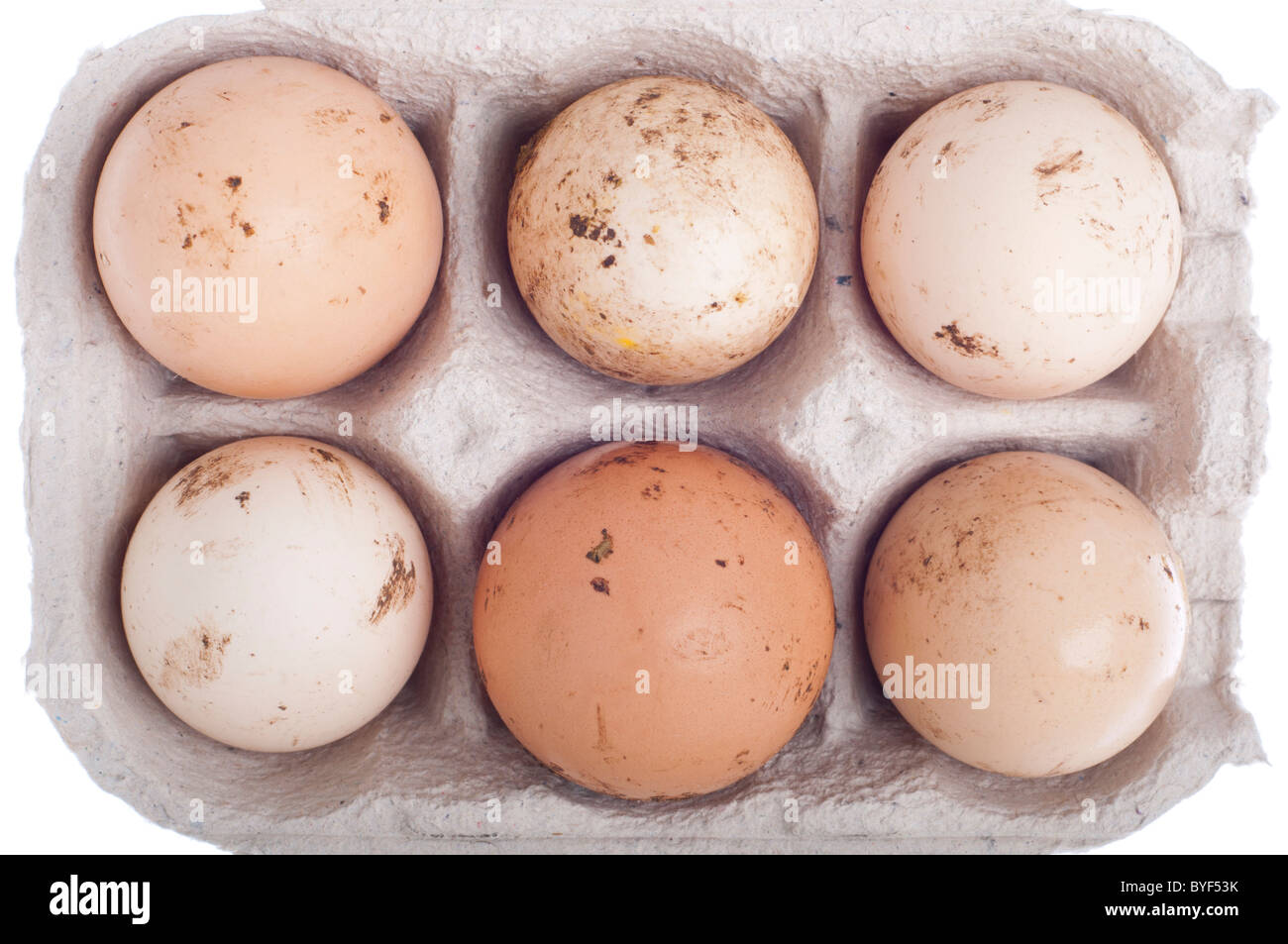 detail of six dirty eggs in a carton box isolated on white background Stock Photo Alamy