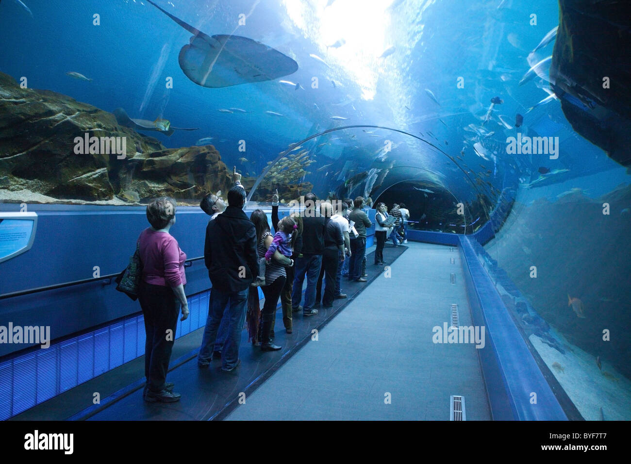 People on moving walkway at the Georgia Aquarium, Atlanta Stock Photo