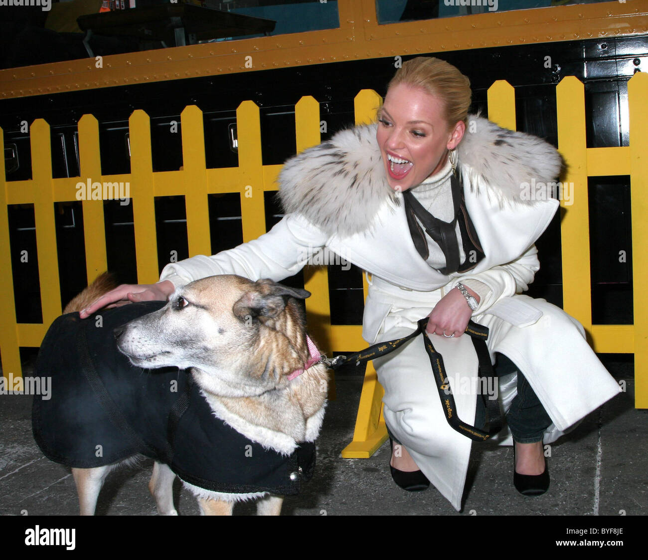 Katherine Heigl and Pedigree Food for Dogs launches the 3rd Annual