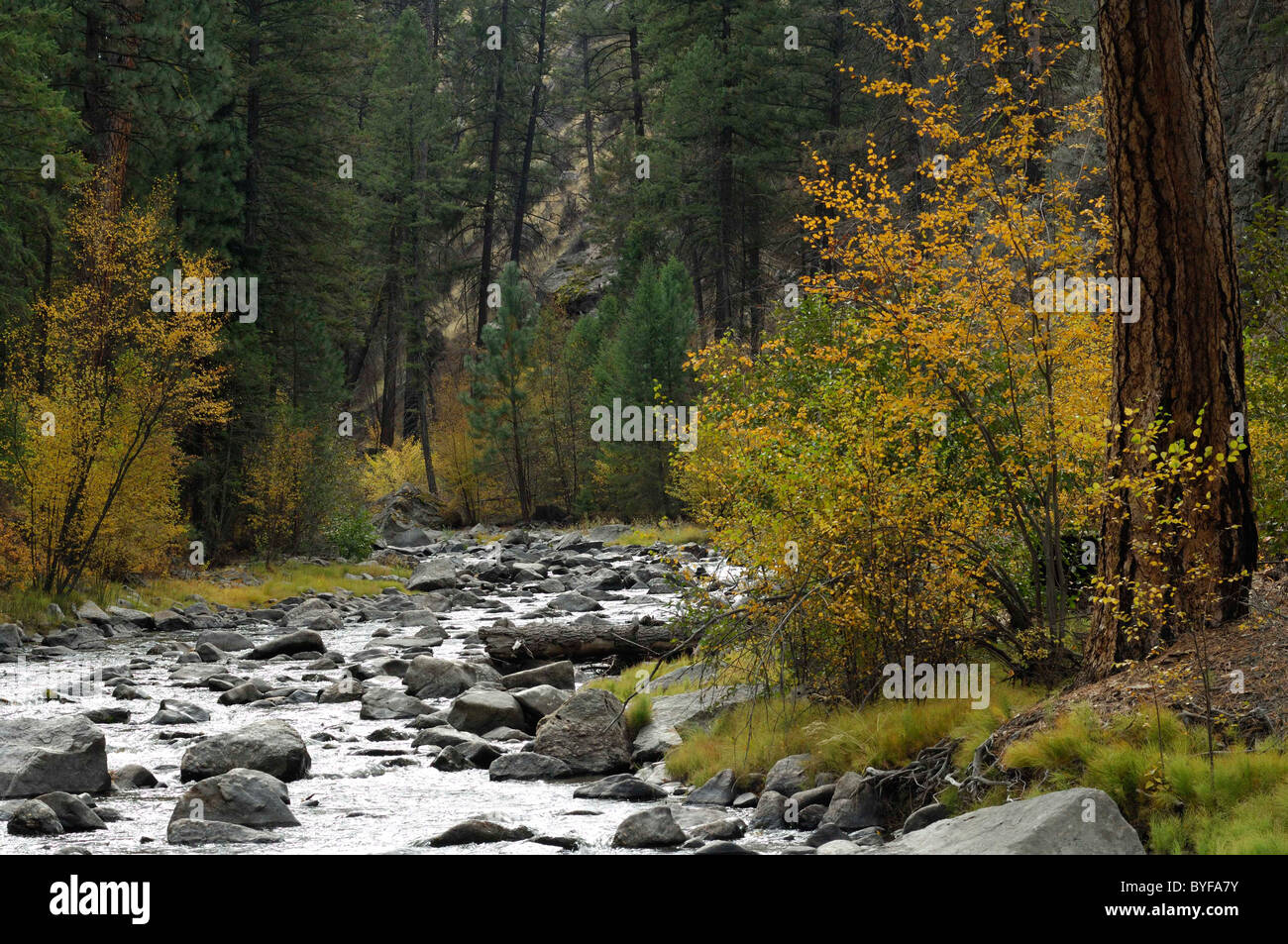Panther Creek, Fall, Salmon, Idaho Stock Photo Alamy