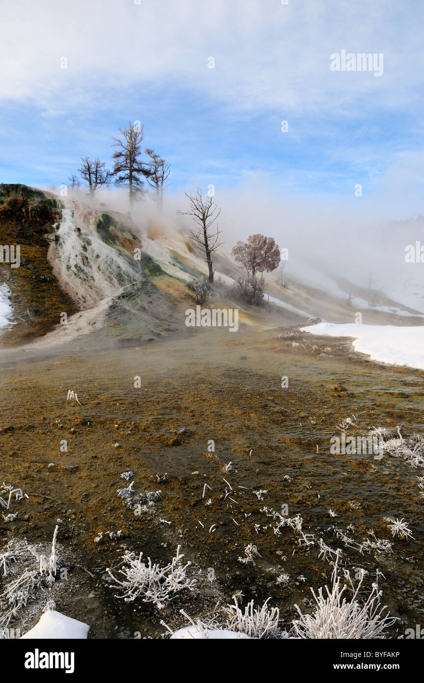 Steam rising from the Palette Spring. Mammoth Hot Springs, Yellowstone National Park, Wyoming, USA. Stock Photo