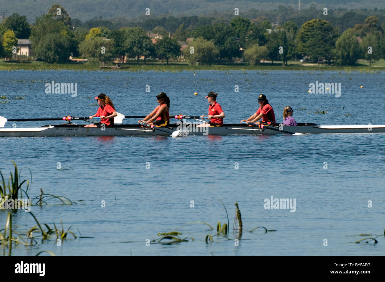 Women rowers sculling on Lake Wendouree, Ballarat, Victoria, Australia Stock Photo