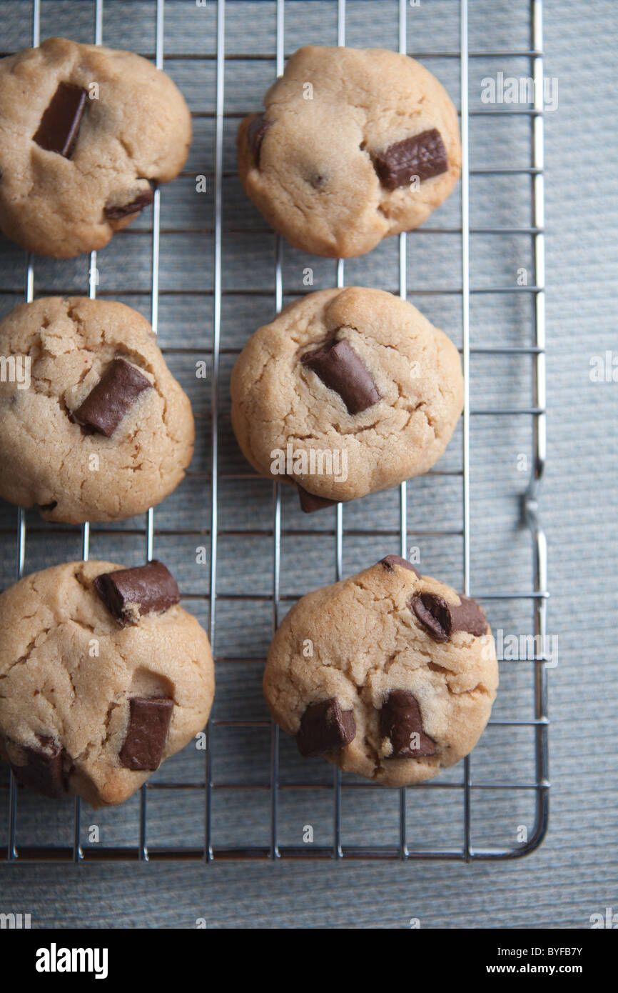 chocolate chip cookies on a cooling rack Stock Photo