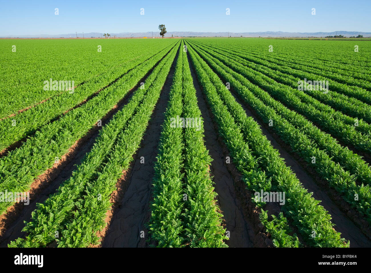 Imperial valley farm hires stock photography and images Alamy