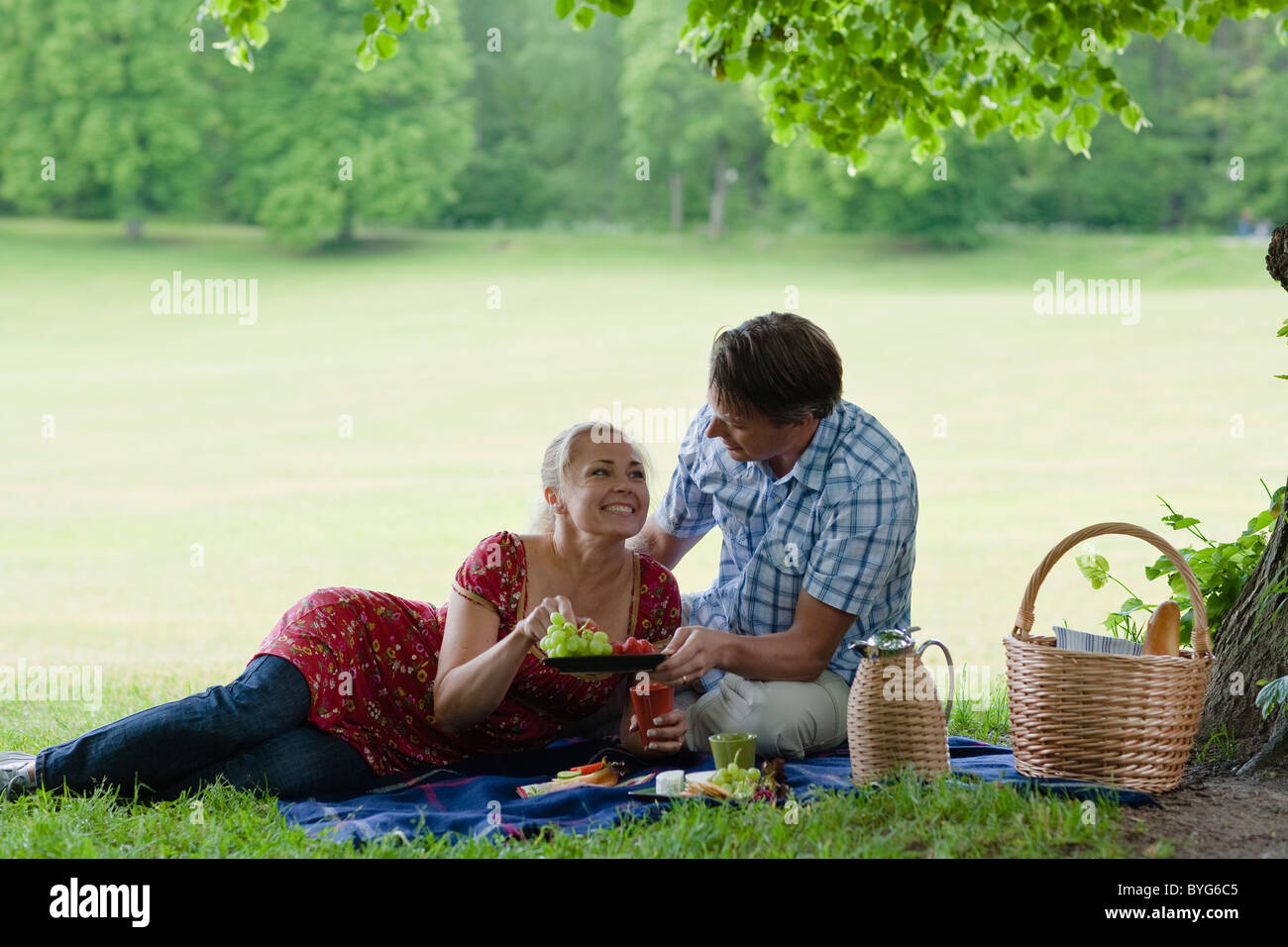 Picnic hampers park hi-res stock photography and images - Alamy