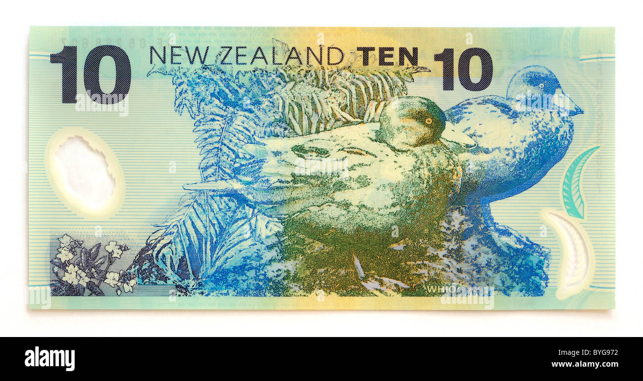 New Zealand 10 Ten Dollar Bank Note. Stock Photo
