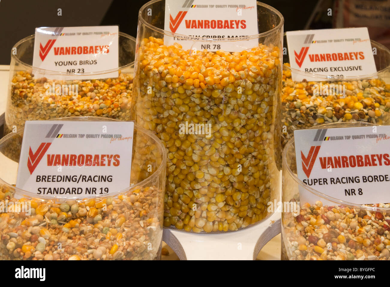 Bird food mixtures hires stock photography and images Alamy