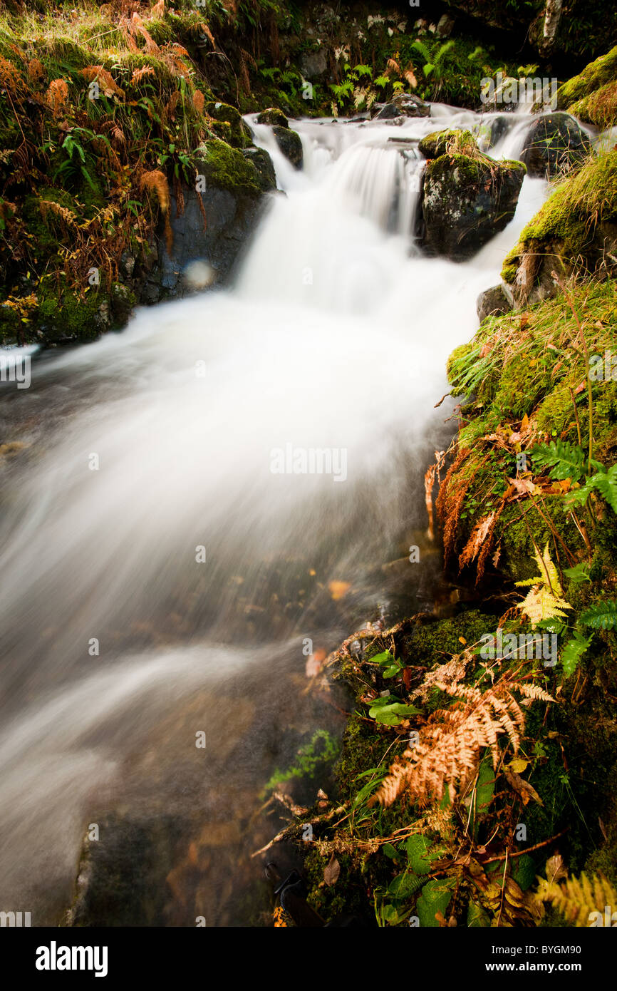 Tumbling waterfall flowing through rich autumn colours in the ancient forests at Dun Ghallain Stock Photo