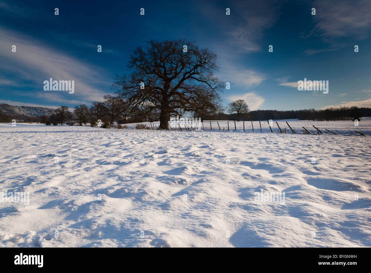 Snow Covered Countryside, Boxley, Kent, South East, England, UK Stock