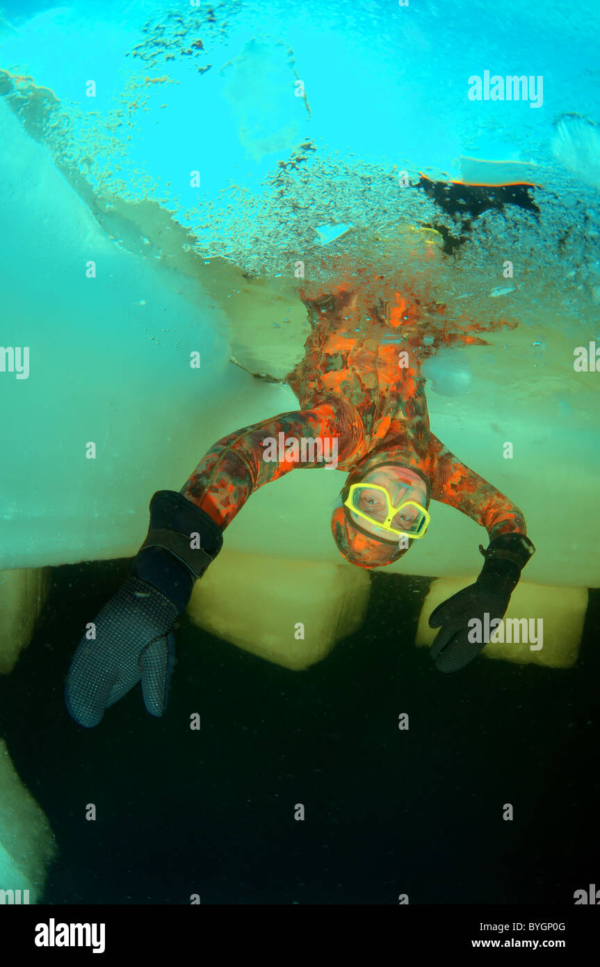 under ice freediving Stock Photo Alamy