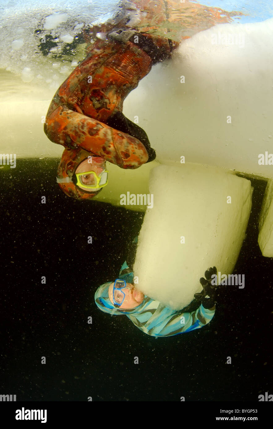 under ice freediving Stock Photo Alamy