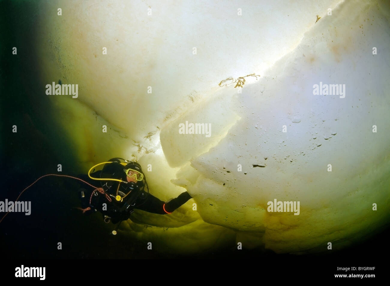 male scuba diver swim under ice Stock Photo Alamy