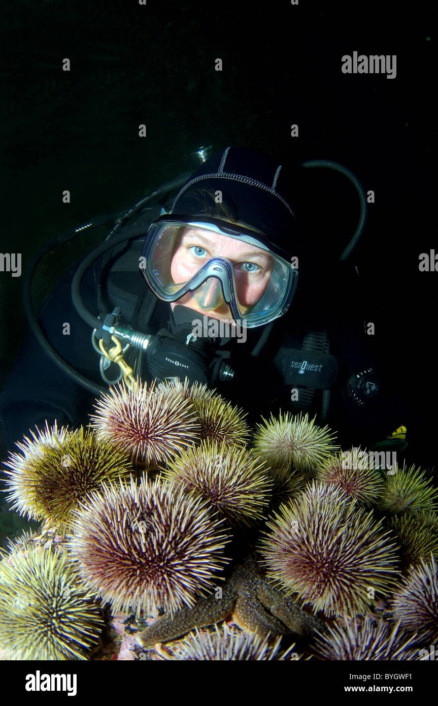 Female scuba diver look at on sea urchin Stock Photo