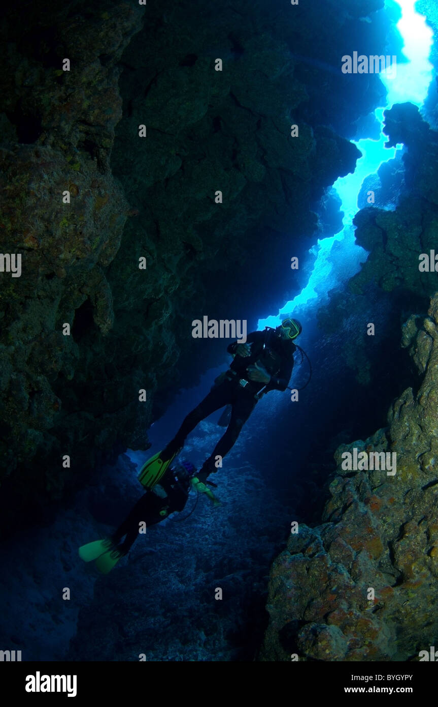 Scuba diver dives in underwater canyon in Dahab, Egypt Stock Photo - Alamy