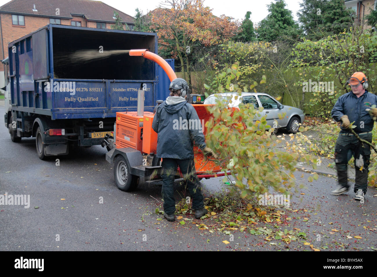Tree surgeons feeding branches into wood chipper in Hounslow, Middx, UK