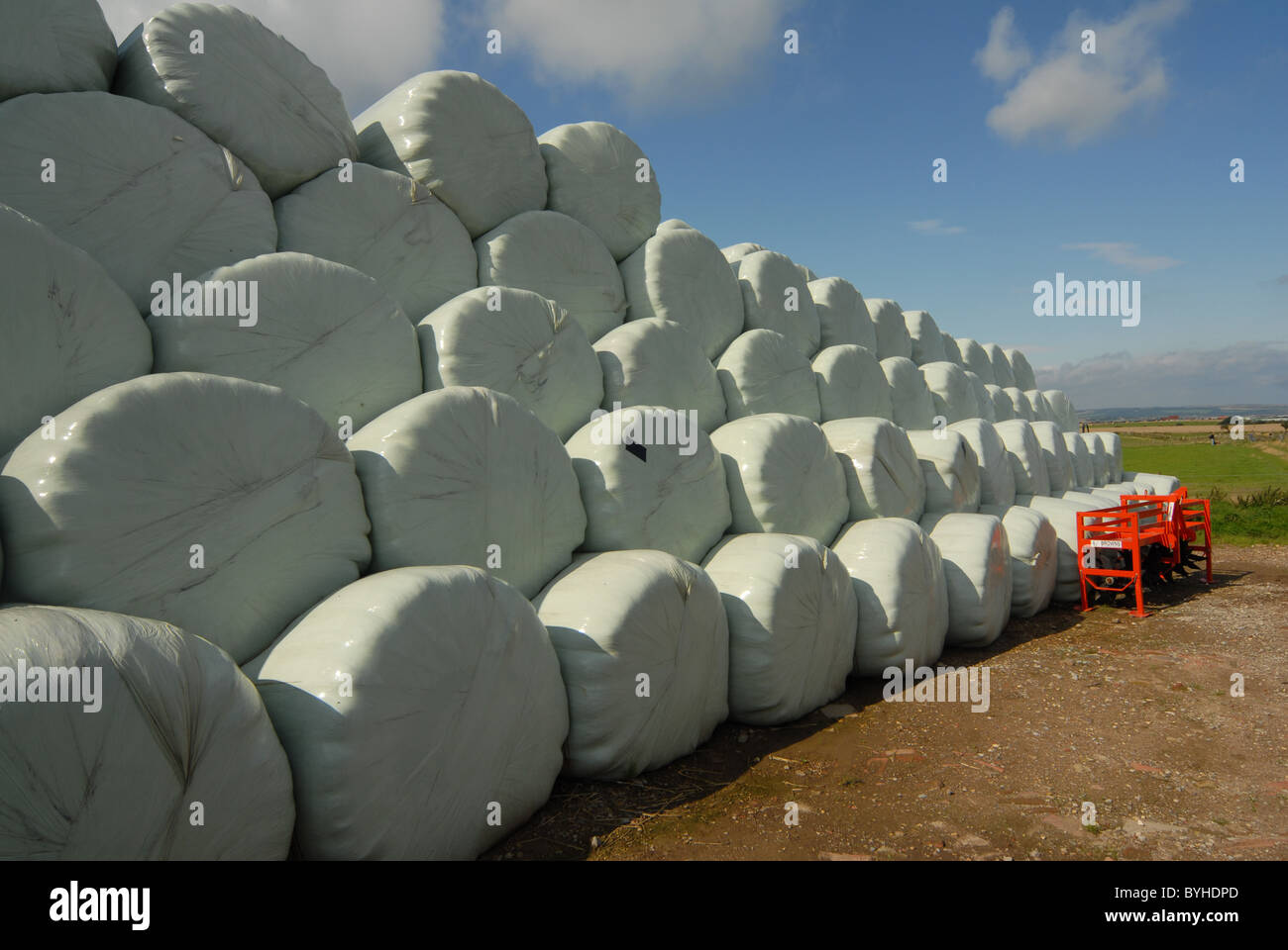 Silage hay bales wrapped in plastic stacked on farmland in