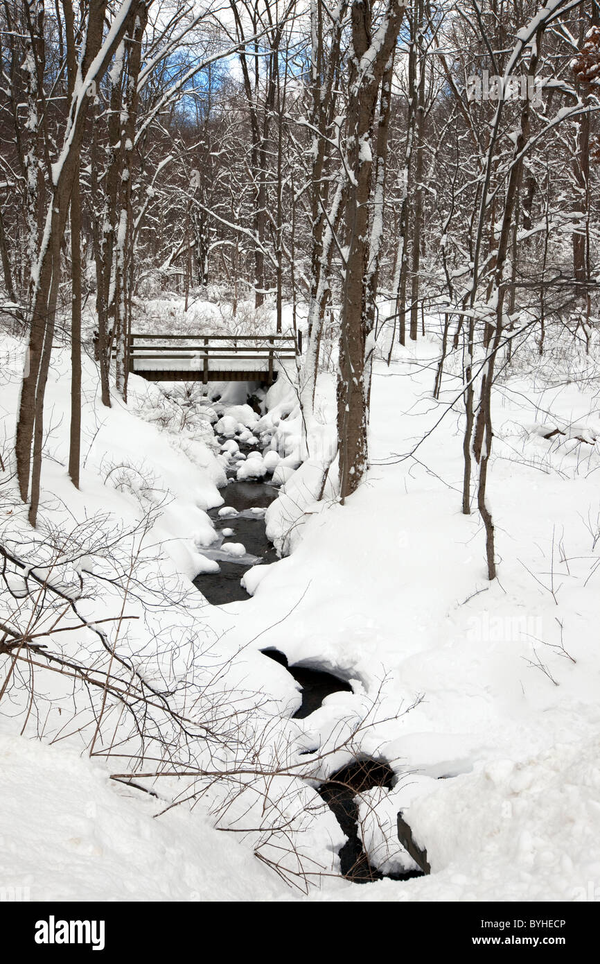 Winter scene, Jockey Hollow, Morristown National Historical Park, New Jersey Stock Photo