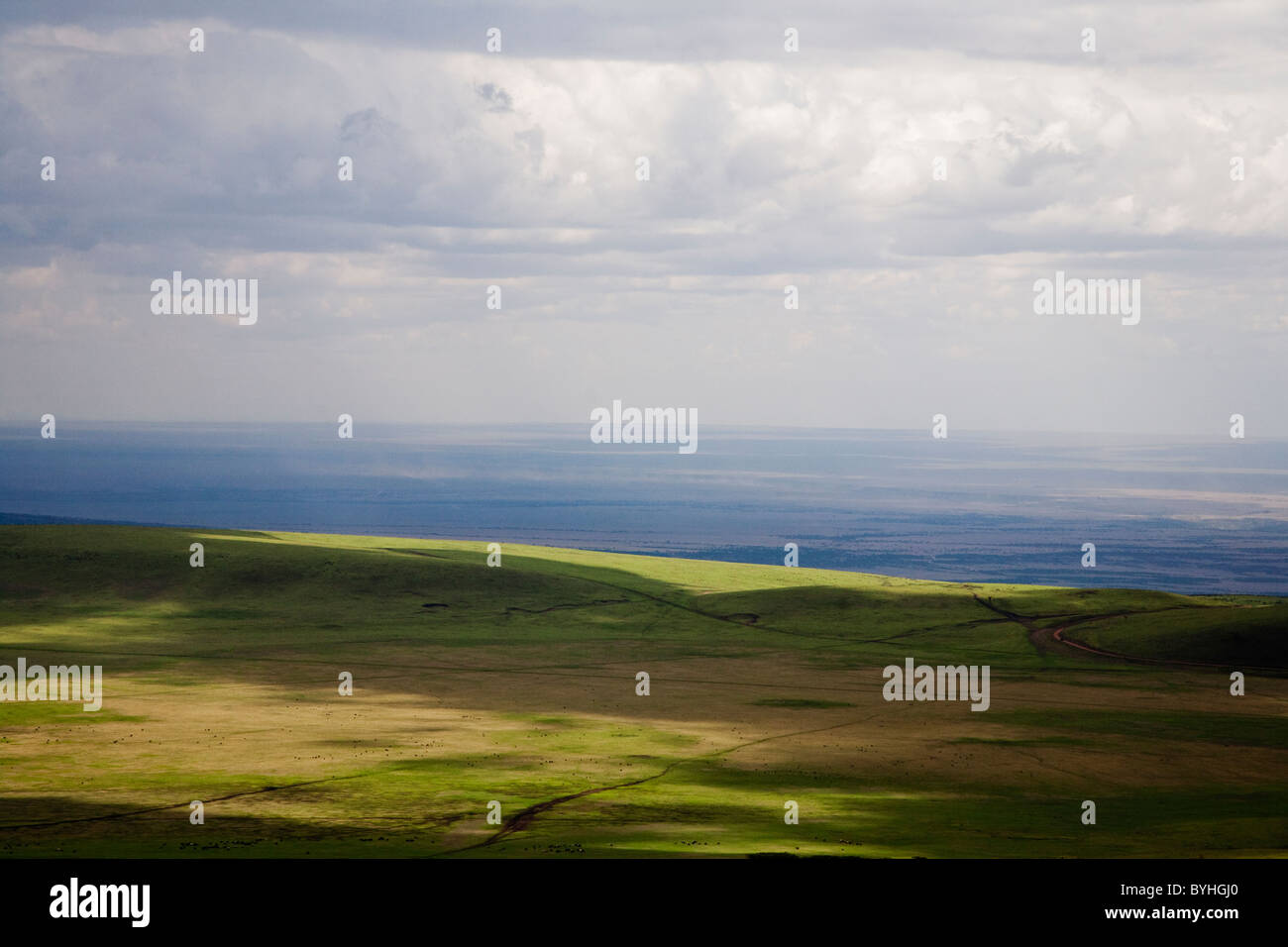 Serengeti Plain Tanzania Africa Stock Photo Alamy   Serengeti Plain Tanzania Africa BYHGJ0 